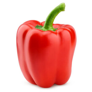 MyD Delivery Product Image