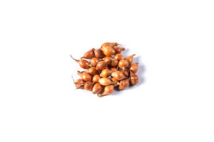 MyD Delivery Product Image