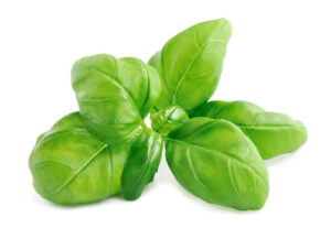 MyD Delivery Product Image