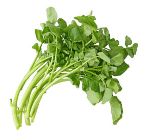 MyD Delivery Product Image