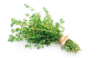 MyD Delivery Product Image