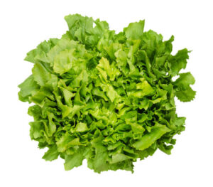 MyD Delivery Product Image